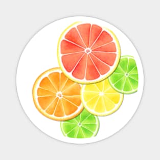 Citrus Delight Magnet